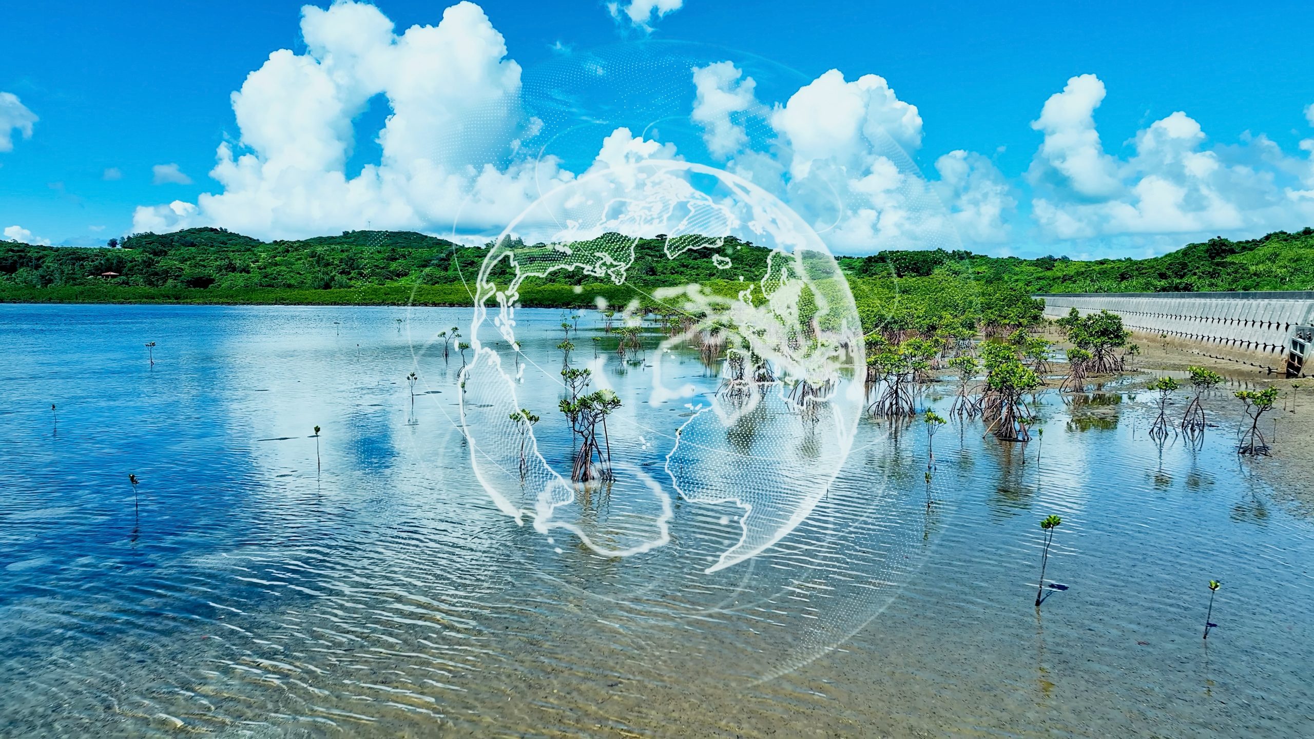 自然資本を対象とするSBTN認証の導入背景と今後の展開