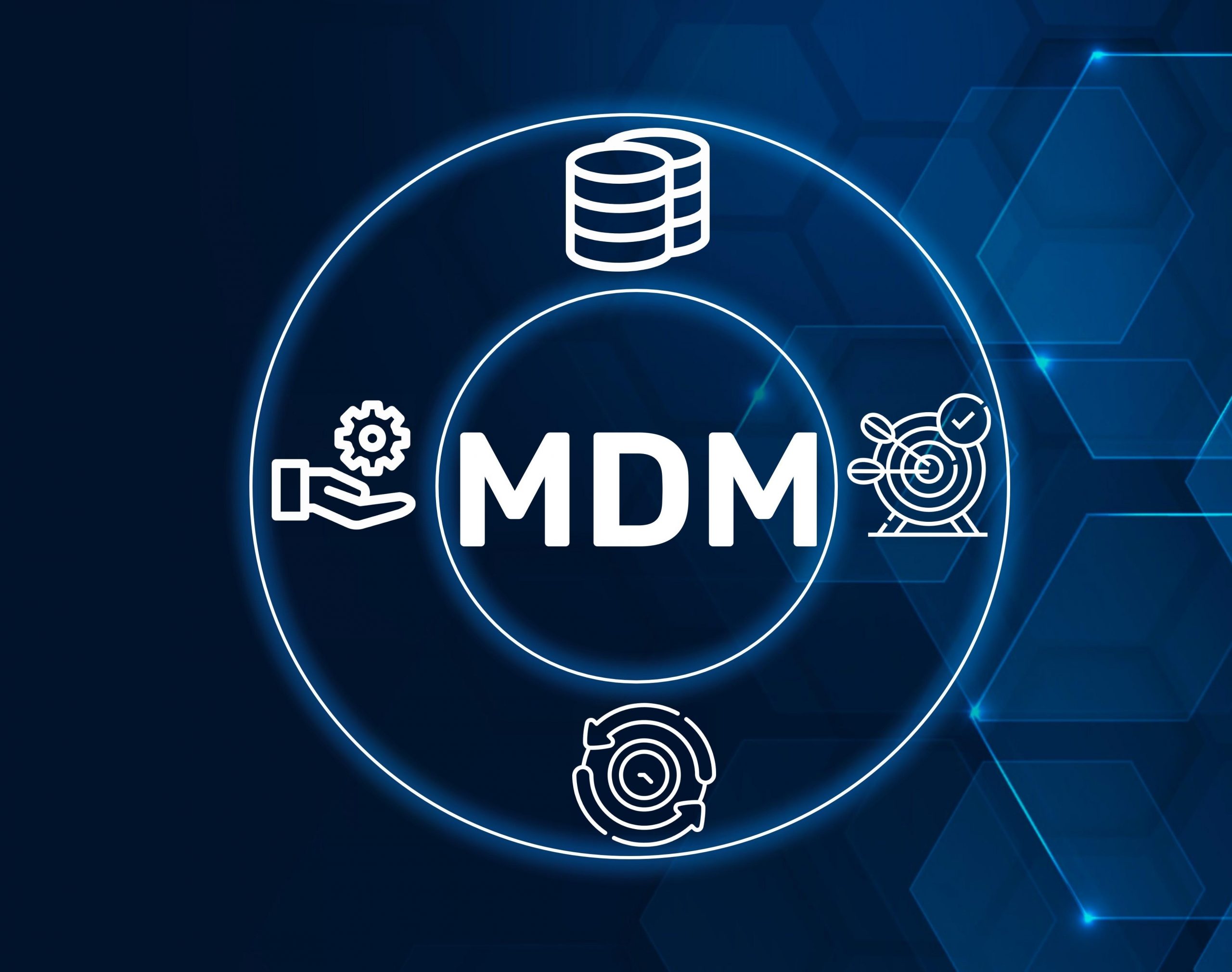 SAP MDG ～マスタ統合とデータガバナンスを実現する基盤と導入のポイント～