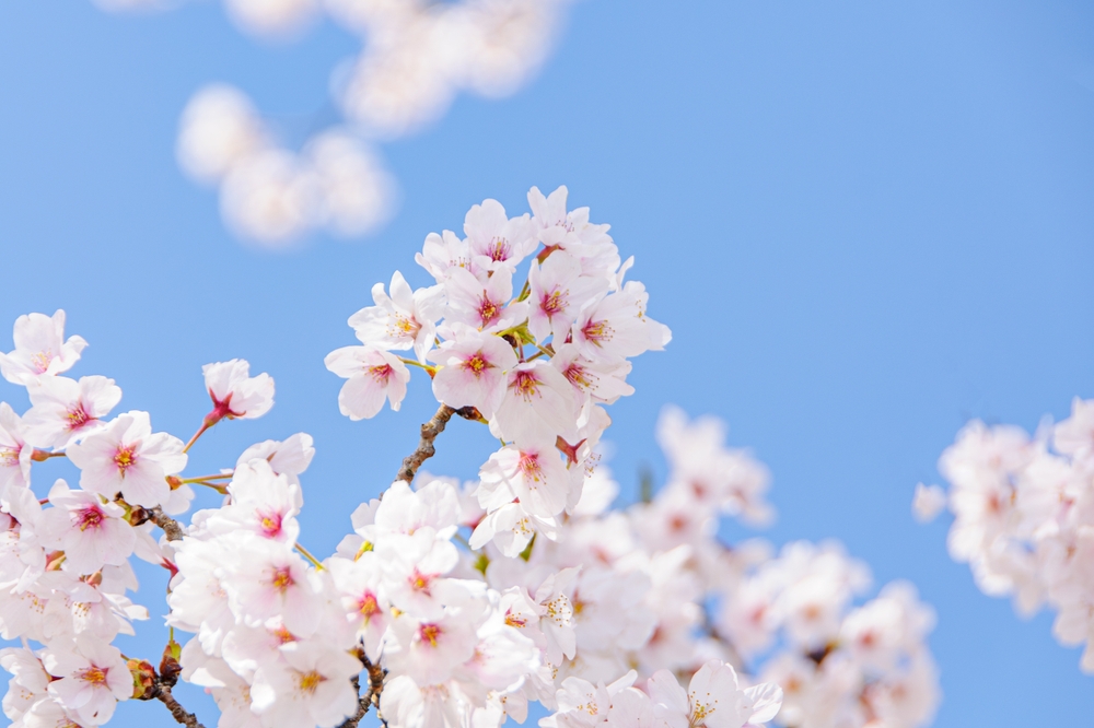 【社員紹介記事★第十三弾】自ら考え、働くために必要なこと